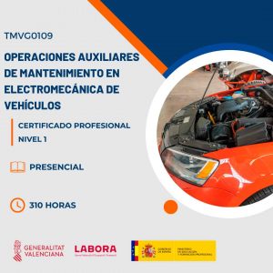 Certificado Profesional de Operaciones auxiliares de electromecánica de vehículos con Visa de Estudios