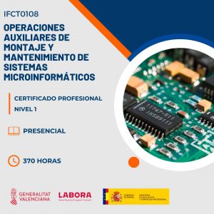 Certificado Profesional de Operaciones auxiliares de montaje de sistemas microinformáticos con Visa de Estudios